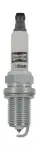 CHAMPION Süüteküünal IRIDIUM CCH9003