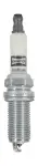 CHAMPION  Süüteküünal IRIDIUM CCH9033