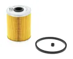 CHAMPION Kütusefilter CFF100255