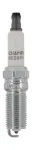 CHAMPION  Süüteküünal PLATINUM OE029/T10