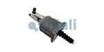 COJALI 2250196