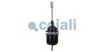 COJALI 2251415