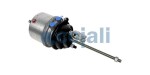 COJALI 2251616