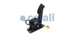 COJALI 2262041
