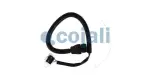 COJALI 2262110