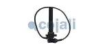 COJALI 2262793