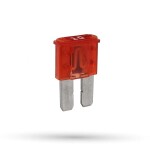 kaitse MICRO 2 10A (1 tk)