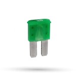 kaitse MICRO 2 30A (1 tk)