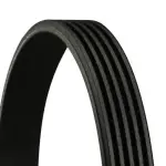 CONTINENTAL CTAM  Soonrihm 5PK865