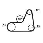 CONTINENTAL CTAM Soonrihmakomplekt 6PK1042 ELAST T1