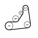 CONTINENTAL CTAM  Soonrihmakomplekt 6PK1153K5