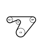 CONTINENTAL CTAM Veepump+ soonrihmakomplekt 6PK1180WP2