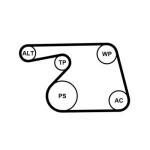 CONTINENTAL CTAM Veepump+ soonrihmakomplekt 6PK1318WP1