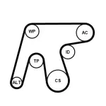 CONTINENTAL CTAM Veepump+ soonrihmakomplekt 6PK1642WP3