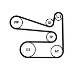 CONTINENTAL CTAM Veepump+ soonrihmakomplekt 6PK1693WP1