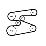 CONTINENTAL CTAM  Veepump+ soonrihmakomplekt 6PK1698WP1