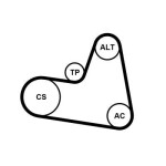 CONTINENTAL CTAM  Soonrihmakomplekt 6PK962K1