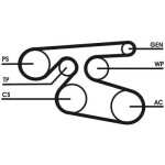 CONTINENTAL CTAM  Soonrihm 7PK2000