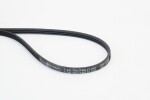 CONTINENTAL CTAM  Soonrihm 3PK762 ELAST