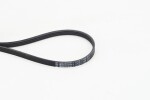 CONTINENTAL CTAM  Soonrihm 4PK1155