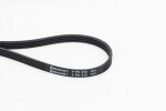 CONTINENTAL CTAM Soonrihm 4PK810