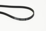 CONTINENTAL CTAM  Soonrihm 4PK841