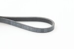 CONTINENTAL CTAM Soonrihm 4PK874 ELAST