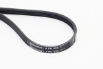 CONTINENTAL CTAM Soonrihm 4PK905