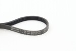 CONTINENTAL CTAM  Soonrihm 4PK917 ELAST