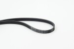 CONTINENTAL CTAM Soonrihm 4PK925