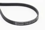 CONTINENTAL CTAM Soonrihm 4PK970