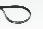 CONTINENTAL CTAM  Soonrihm 5PK1121 EXTRA