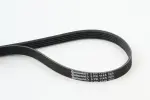 CONTINENTAL CTAM  Soonrihm 5PK1145