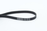CONTINENTAL CTAM  Soonrihm 5PK1150