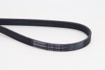 CONTINENTAL CTAM Soonrihm 5PK1230