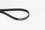 CONTINENTAL CTAM  Soonrihm 5PK1255