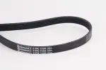 CONTINENTAL CTAM Soonrihm 5PK1300