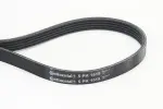 CONTINENTAL CTAM  Soonrihm 5PK1515