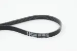 CONTINENTAL CTAM Soonrihm 5PK1592