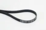CONTINENTAL CTAM Soonrihm 5PK1680