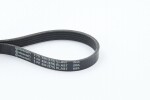 CONTINENTAL CTAM Soonrihm 5PK694 ELAST