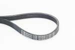 CONTINENTAL CTAM  Soonrihm 5PK705 ELAST