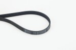 CONTINENTAL CTAM Soonrihm 5PK854 ELAST