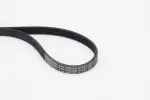 CONTINENTAL CTAM  Soonrihm 5PK868 ELAST