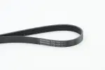 CONTINENTAL CTAM  Soonrihm 6PK1005