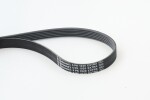 CONTINENTAL CTAM  Soonrihm 6PK1020 EXTRA