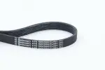 CONTINENTAL CTAM Soonrihm 6PK1029 ELAST