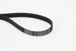 CONTINENTAL CTAM Soonrihm 6PK1059 ELAST