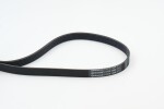 CONTINENTAL CTAM Soonrihm 6PK1080