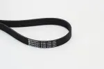 CONTINENTAL CTAM Soonrihm 6PK1125